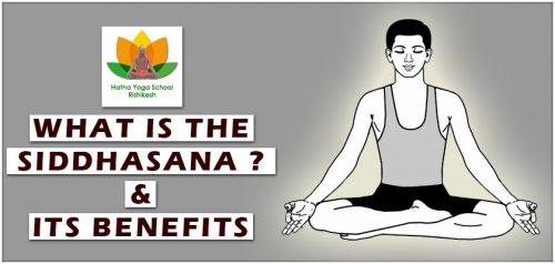 What is Siddhasana and its benefits- Yoga school in Rishikesh